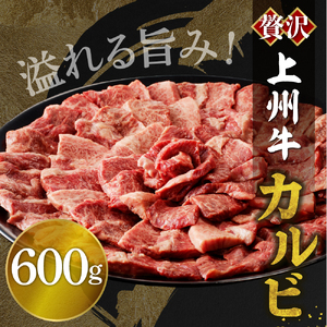 牛肉 カルビ 【上州牛】 600g  群馬 県 千代田町 ※沖縄・離島地域へのお届け不可 国産 牛肉 ブランド牛 精肉 肉 お肉 焼肉 バーベキュー BBQ キャンプ アウトドア 食品 冷凍便 グルメ