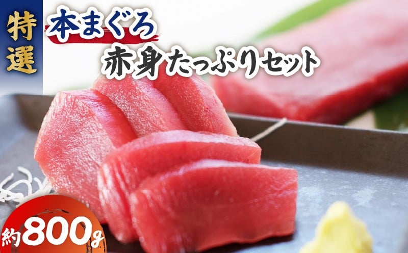 
            特選本まぐろ赤身たっぷりセット　M006-012
          