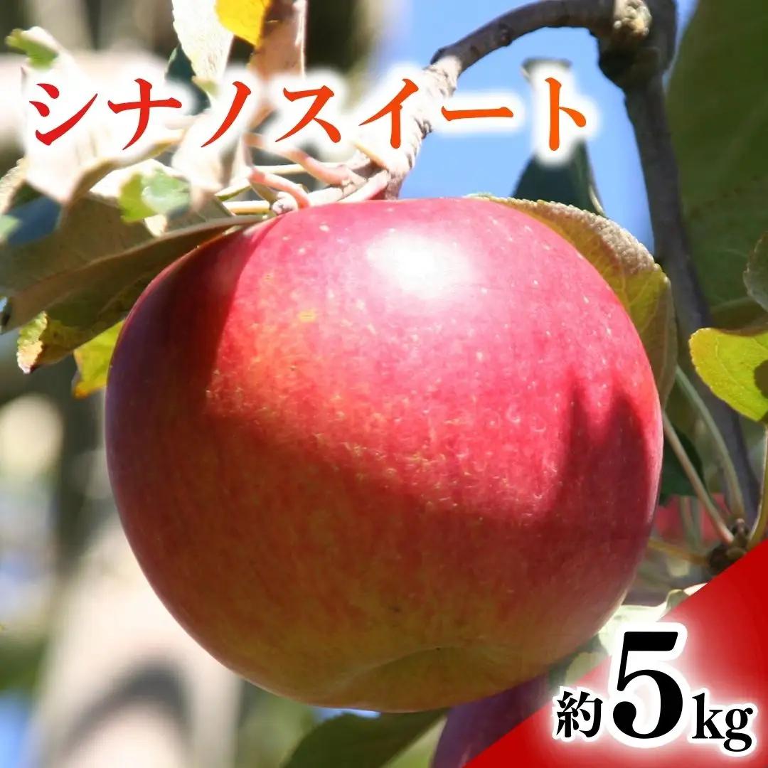 【2026年先行予約】りんご シナノスイート(長野県オリジナル品種) 約5kg |シナノスイート