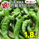 【ふるさと納税】 【5月中旬～11月下旬発送】 【訳あり】 万願寺 とうがらし 1.8kg ( 900g × 2箱 ) 辛くない 美味しい おいしい 肉厚 甘い 旬 採れたて 箱入り 伝統野菜 バーベキュー BBQ 野菜 夏野菜 農家 産地 直送 万願寺とうがらし 唐辛子 規格外 京都 舞鶴