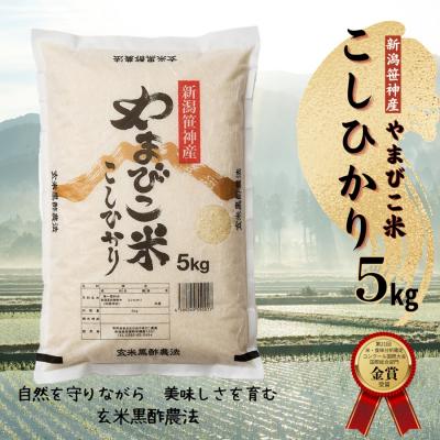 ふるさと納税 阿賀野市 【令和7年産】玄米黒酢農法コシヒカリ「やまびこ米」5kg(白米)