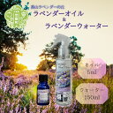 【ふるさと納税】ラベンダー精油(5ml)&ラベンダーウォーター(150ml)セット フローラル系 ラベンダーオイル エッセンシャルオイル ハーブウォーター ハーブスプレー A051‐06