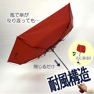 ふるさと納税 海南市 折りたたみ傘 紀州漆器アンブレラ 根来 耐風骨 女性用 職人の手で1本1本持ち手を加工 ギフト包装 |  | 01