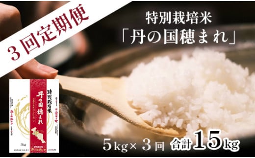【定期便】特別栽培米 コシヒカリ 丹の国穂まれ 精米 5kg×3回 新米 令和7年度産 15kg 京都府 中丹 舞鶴 綾部 福知山 こしひかり お米 白米 ご飯 米 主食 白ご飯 農協 JA