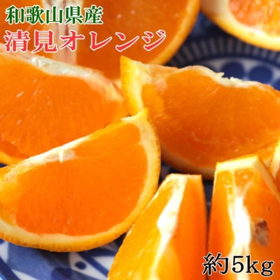 和歌山県産清見オレンジ約5kg(サイズ混合)【九度山町】【1503412】