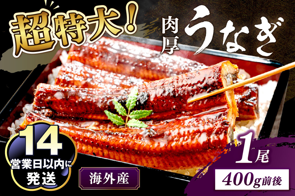 
            【14営業日以内発送】超特大！ふっくら肉厚！うなぎ蒲焼 1尾 400g前後 ＜鰻の蒲焼き ウナギのかば焼き 超特大かばやき 肉厚カバヤキ スタミナ 土用の丑の日 小分け 温めるだけ 簡単 レンジ調理＞　YK00402C・YK00402_01C・YK00402_02C
          
