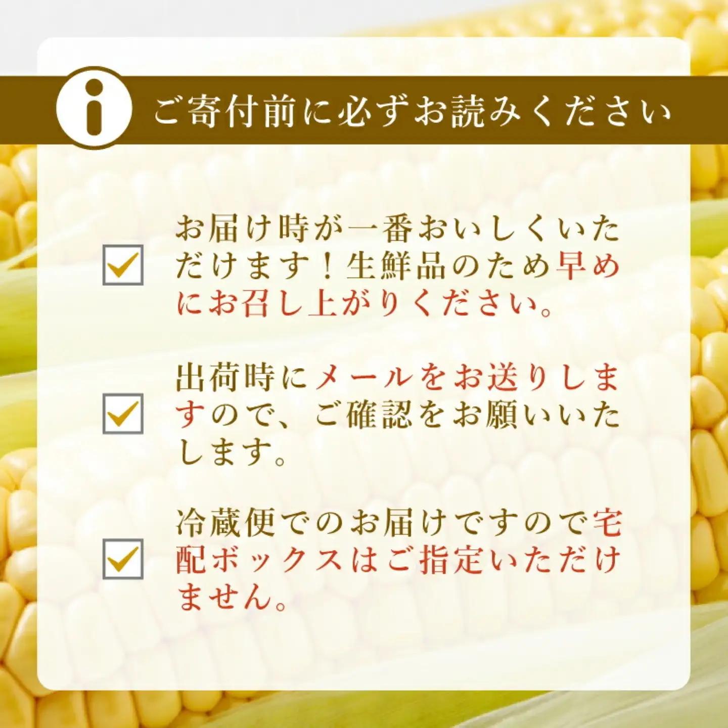 【2026年発送】山梨県産 ヤングコーン　とうもろこし 30本入｜とうもろこし
