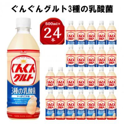 ふるさと納税 館林市 【2ヵ月毎定期便】『ぐんぐんグルト』3種の乳酸菌PET500ml　24本　隔月全6回