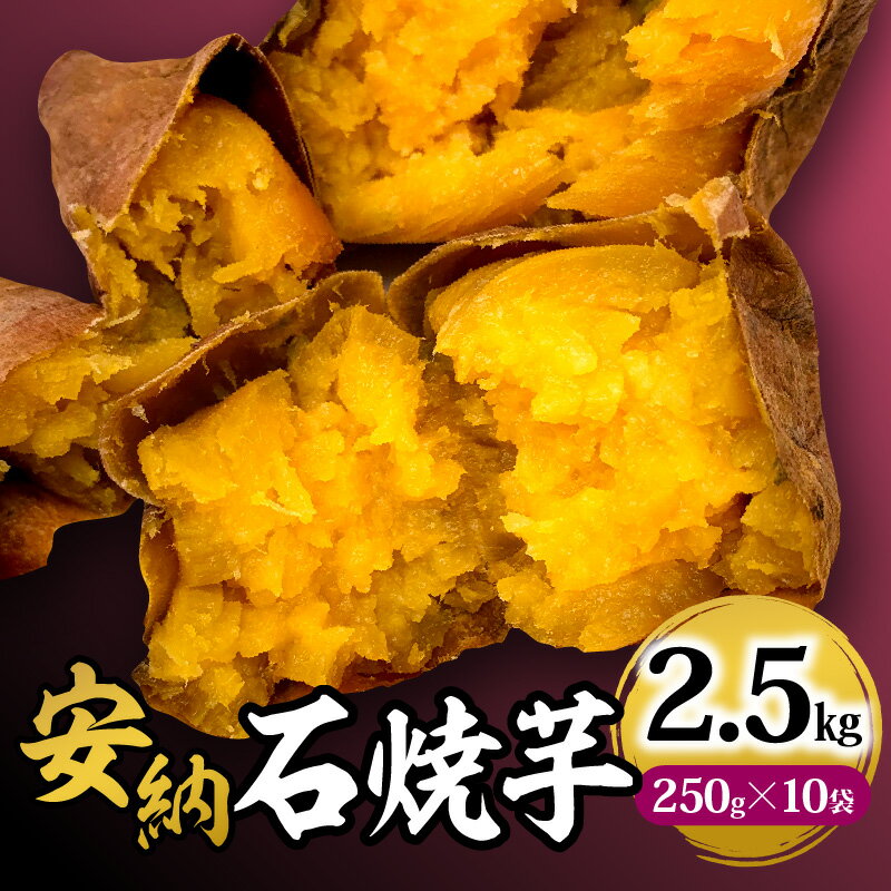 【ふるさと納税】安納石焼芋 10袋セット 石焼 安納芋 芋 石焼芋 サツマイモ デザート 幻の芋 種子島 糖度 20度 黄金色 口当たり 和菓子 遠赤外線 冷凍 甘い スイーツ グルメ お取り寄せ 宮崎県 宮崎市 送料無料
