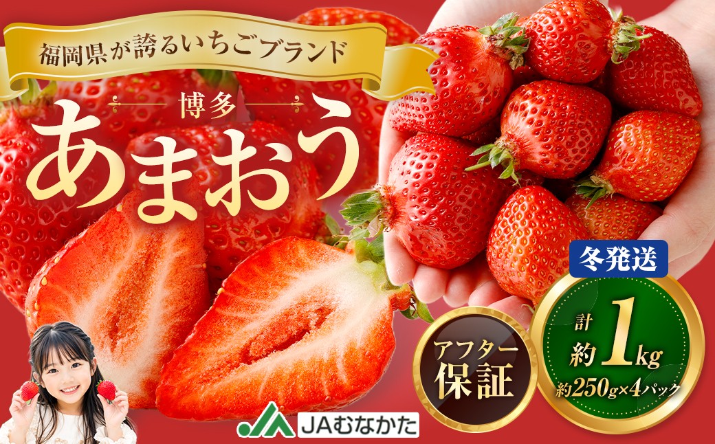 
                  博多 あまおう 4パック（冬）【2026年12月上旬～2027年1月下旬発送予定】
                