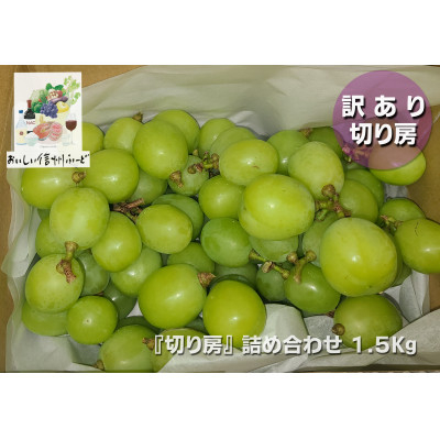 
            訳あり 信州産＜新鮮朝採り＞シャインマスカット 切り房 1.5kg以上 2025年9月中旬～発送予定【1625534】
          