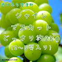 【ふるさと納税】シャインマスカット 約2kg【令和7年8月下旬発送！予約受付中】〔提供：株式会社ことひら街道〕しあわせ製麺 あまい ぶどう 皮ごと まるまる しゃきしゃき