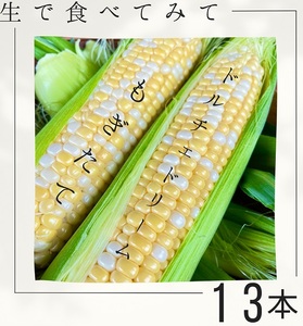 とうもろこし もぎたて ドルチェドリーム 約 4kg 12本~14本 トウモロコシ コーン 美味しい おいしい 茹でとうもろこし 焼きとうもろこし スープ 野菜 やさい バーベキュー BBQ 産地直送 新鮮 生鮮 食品 静岡県 牧之原市 タイラファーム