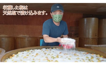 梅干し 一級品 800g ケース入り 昔ながら 梅干し