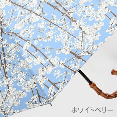 ふるさと納税 東大阪市 EMILY BURNINGHAM 晴雨兼用スライドショート傘 [ホワイトベリー] |  | 03