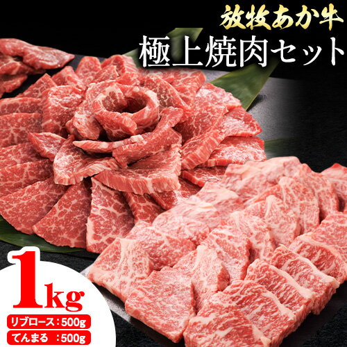 【ふるさと納税】 阿蘇うぶやま村の放牧あか牛極上焼肉セット1kg リブロース てんまる たっぷり BBQ 焼き肉 赤身 和牛 牛肉 牛 国産 あか牛 焼肉正 人気 ギフト 詰め合わせ 熊本 阿蘇 産山村 送料無料《60日以内に出荷(土日祝除く)》【配送不可地域あり】