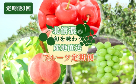 2026年産フルーツ  定期便 3ヶ月 長野 季節のフルーツ さくらんぼ チェリー 桃 シャインマスカット ぶどう シャイン マスカット 果物 長野県 長野市 定期 お楽しみ 3回 長野県長野市 