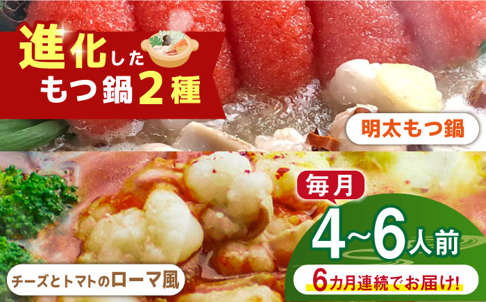 
                  【全6回定期便】博多鍋セット（2） 進化したもつ鍋！「明太もつ鍋」と「トマトとチーズのローマ風もつ鍋」4～6人前《築上町》【株式会社ベネフィス】 [ABDF095] 163000 163000円
                