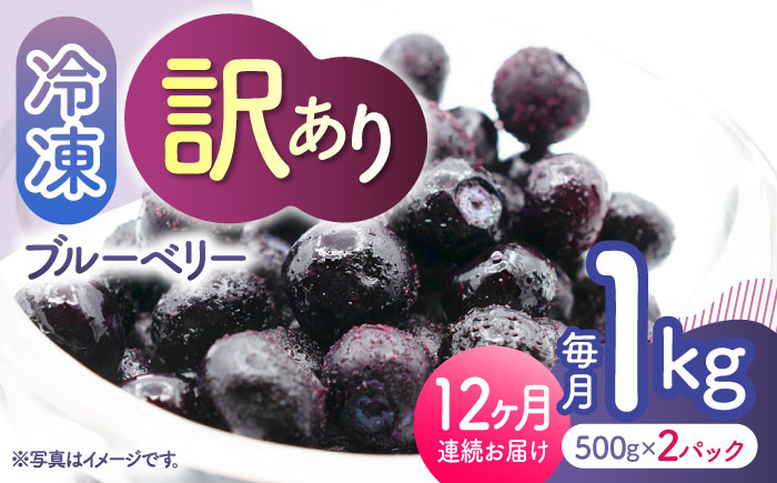 【12回定期便】【訳あり】 冷凍ブルーベリー 小粒 1kg（500g×2pc） 【すみれファーム】 [ZEP054]