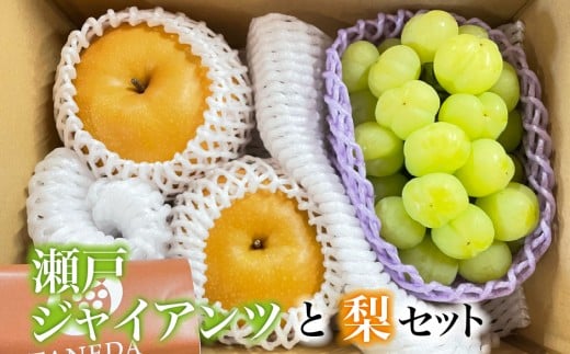 【数量限定】瀬戸ジャイアンツと梨のセット（ぶどう ブドウ 梨 果物 セット 詰め合わせ フルーツ 贈答用 限定）
