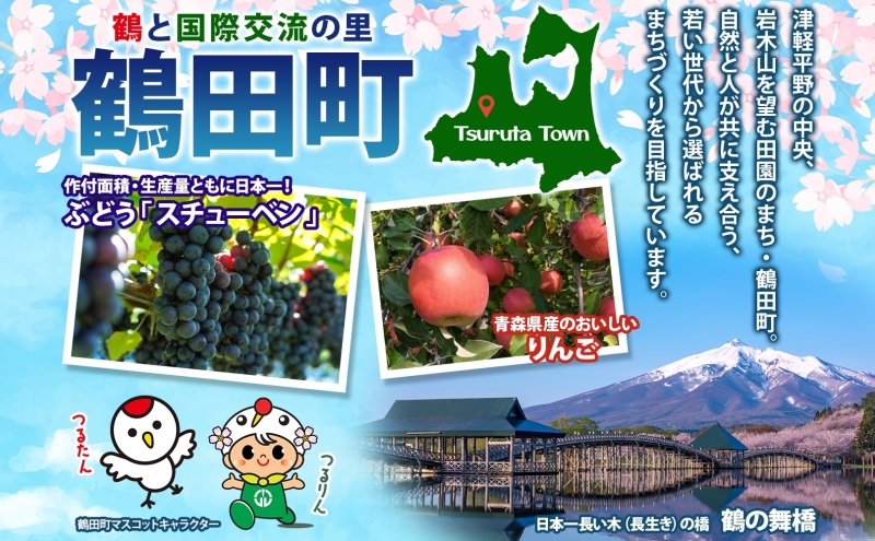 青森県産 つがりあんメロン 「アムさん」 2Lサイズ 2玉 完熟 甘い ジューシー ハウス栽培 弘果弘前中央青果 産地直送 メロン フルーツ 果物 ギフト 贈答 青森県 鶴田町