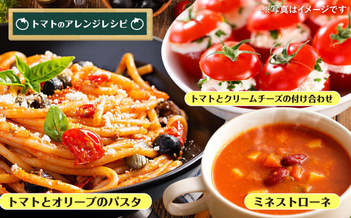 訳あり ミニ トマト 約3kg ＜白石農園＞ [CBI003] 西海市産 トマト とまと 野菜 新鮮 旬 トマト 