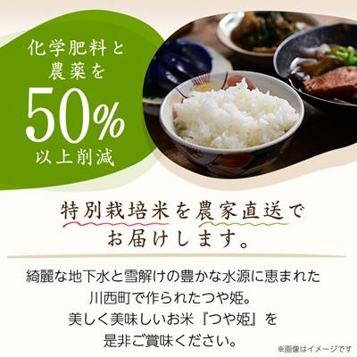 ふるさと納税 川西町 令和7年産　山形県産　つや姫　10kg |  | 01