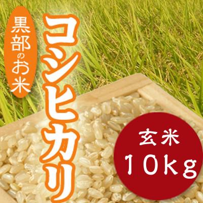 ふるさと納税 黒部市 令和7年産コシヒカリ一等米10kg 玄米