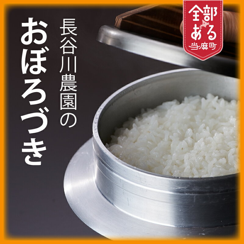 【ふるさと納税】 おぼろづき ※令和8年産※長谷川農園 北海道米 送料無料（選べる 数量 単品／定期便）5kg 10kg 1回 3回 6回 12回 人気 お取り寄せ 北海道 当麻町 米どころ