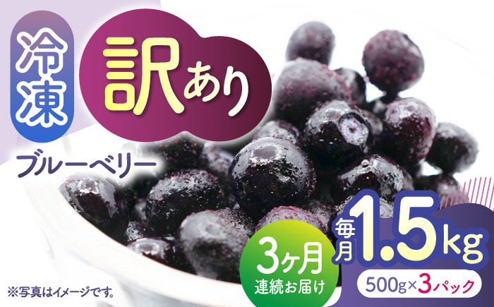 
            【先行予約】【3回定期便】【訳あり】 冷凍ブルーベリー 小粒 1.5kg（500g×3pc） 【すみれファーム】 [ZEP049]
          