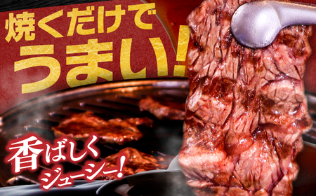 タレ漬け 牛ハラミ 約250g×8パック 計約2kg【焼肉寛十郎】小分け 個包装 味付け タレ たれ 高知県 お肉 牛肉 贅沢 焼き肉 BBQ バーベキュー 訳あり わけあり ワケアリ はらみ[ATD