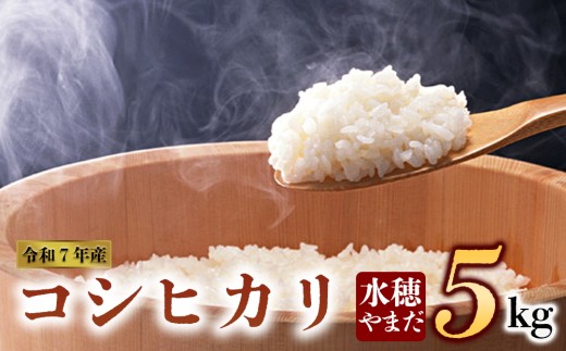 令和7年産 コシヒカリ 5kg 水穂やまだ グランプリ獲得 お米 米 人気 美味しい 弾力 粘り 食感 湧水 熊本 阿蘇