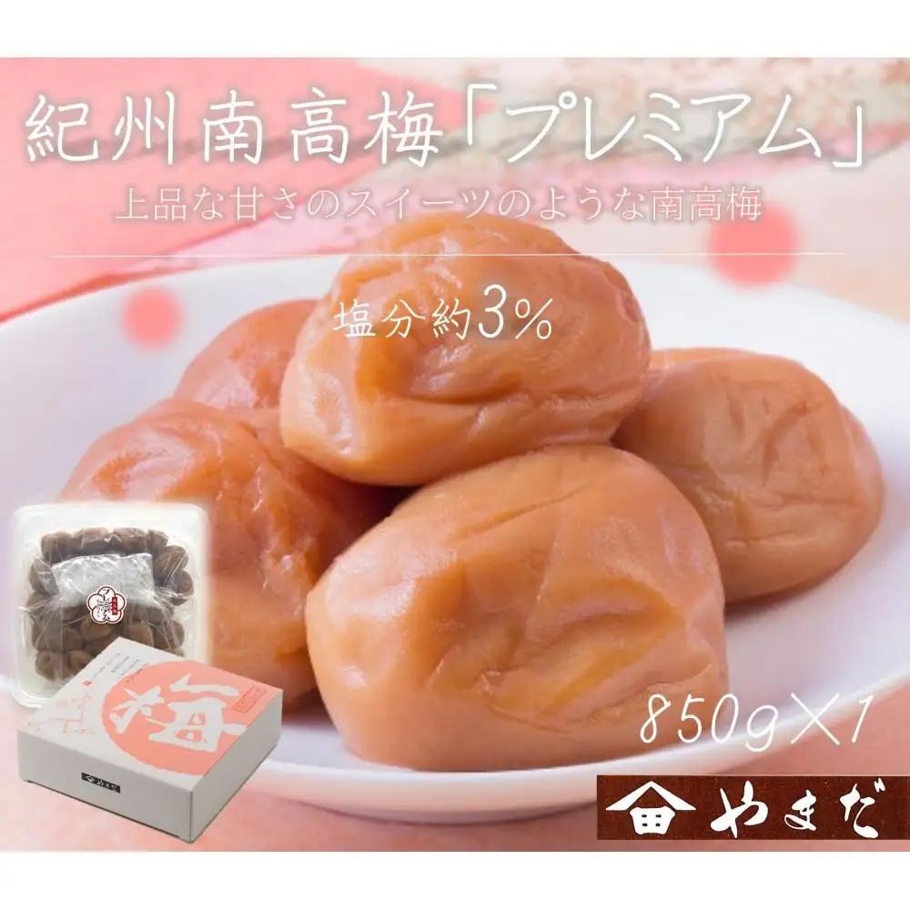 【定期便・3ヵ月毎 全3回】紀州南高梅 プレミアム 850g ［YM12］