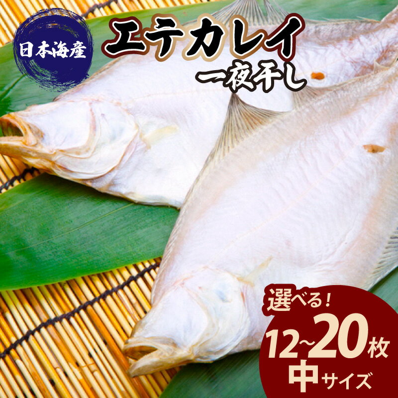 【ふるさと納税】【 店主一押し 絶品干物 高リピート！】エテカレイ 一夜干し　中サイズ（ 朝食サイズ ）12枚 20枚 選べる 干物 ひもの 冷凍 魚介 カレイ エテガレイ カレイの煮付け 魚 おかず おつまみ 朝食 海鮮 日本海産 真空パック 白身魚 魚料理 簡単 焼き魚