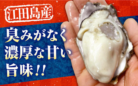 牡蠣 生食 むき身 かき カキ すぐに使える！【生牡蠣】【2月発送】かきうちの 牡蠣 むき身 2kg かき 海鮮 和食 新鮮 簡単 レシピ 広島県産 江田島市/株式会社かきうち[XBK013]