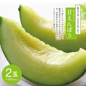 SE0507　【3回定期便】メロン好きに贈る メロンづくしの定期便2026(2) (甘えんぼう、しっかり娘、アールスメロン)