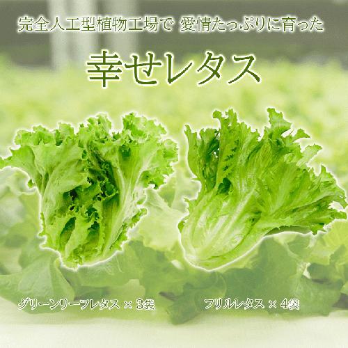 野菜 詰め合わせ セット レタス 計7個 サラダ グリーンリーフレタス 3個 フリルレタス 4個 水耕栽培 幸せレタス