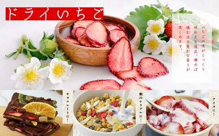 まるなかファーム　ギフトボックスA【まるなかファーム】