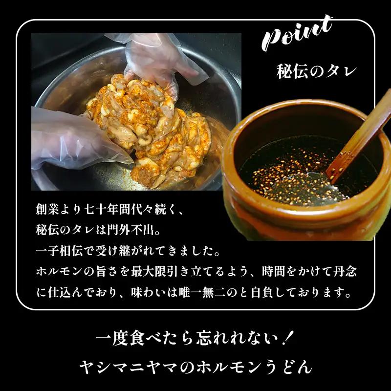 元祖 舞鶴名物 ホルモンうどん 2人前 ： ご当地グルメ