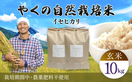 令和8年産先行予約 やくの自然栽培米 イセヒカリ 玄米 10kg ゆたか（ゆたか自然農園）