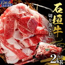 【ふるさと納税】石垣牛・切り落とし 2kg（1kg×2） 冷凍便 ｜ 沖縄県 石垣市 牛肉 お肉 切落し 小間切れ 牛小間切れ 送料無料 SI-89