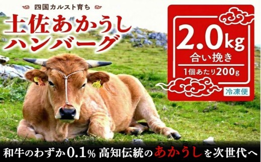 
                  幻の和牛 土佐あかうし ハンバーグ 2kg 200g x 10個 冷凍 合い挽き 牛肉 豚肉 あか牛 玉ねぎ 玉葱 個包装 人気ハンバーグ ランキング 神戸牛 松阪牛 近江牛 黒毛和牛 より数が少ない 国産和牛 惣菜 おかず冷凍 高知県 須崎市 お惣菜 はんばーぐ 赤牛ハンバーグ あか牛ハンバーグ hannba-gu SNM033
                