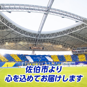 大分トリニータ 公式 マスコット ぬいぐるみ 圧倒的ニータン (1個・高さ約80cm) 大分トリニータ Jリーグ サッカー キャラクター グッズ trinita 【HS007】【大分フットボールクラブ