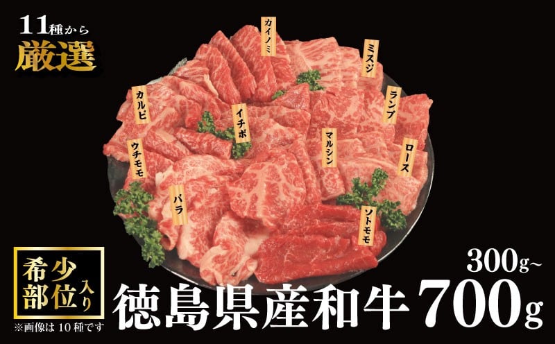 
            焼肉 セット 牛肉 おまかせ 3種 5種 7種 国産和牛 ロース バラ 外もも 内もも マルシン カイノミ イチボ ランプ カルビ ミスジ トンビ 和牛 焼き肉 希少部位 赤身 食べ比べ にく ぎゅう うし BBQ やきにく お祝い イベント パーティー おかず おつまみ 贈答 プレゼント 徳島県 吉野川市
          