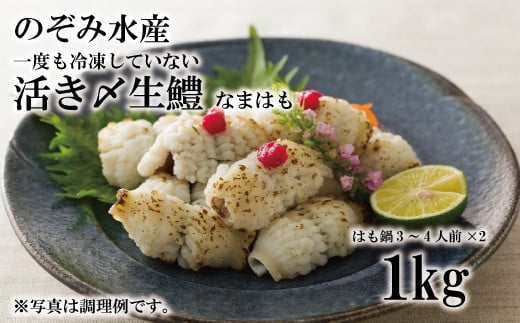 のぞみ水産 活〆 骨切り 生鱧 1kg 【2024年5月上旬より順次発送】