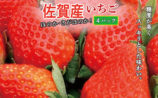 
            【先行予約】【2026年1月から順次発送】佐賀産 いちご 『 ほのか 』『 さがほのか 』 品種おまかせ 4パック 苺 イチゴ | 佐賀県 産 いちご ほのか さがほのか ４パック フルーツ 果物 ギフト 贈答用 家庭用 _b-387
          