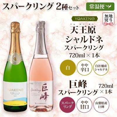 ふるさと納税 笛吹市 無地熨斗 山梨県 スパークリング 2種飲み比べ(シャルドネ 泡・巨峰 泡)各1本 笛吹市 |  | 03