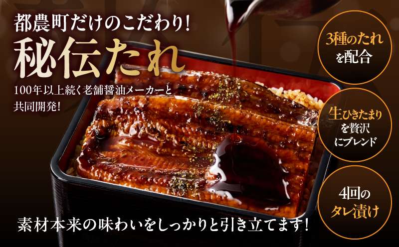 うなぎ蒲焼5尾(さんしょう・たれ付き)計800g以上_T026-0032【鰻 魚 魚介 加工品 国産 人気 ギフト 食品 おかず 惣菜 高級 お土産 贈り物 送料無料 プレゼント】