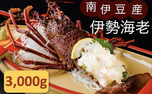 伊勢海老セット[E] 【いせえび 伊勢海老 伊勢海老 鮮魚 海老 えび 人気 名産 高級 おすすめ 数量限定 贈答 静岡県 南伊豆 伊豆 】　