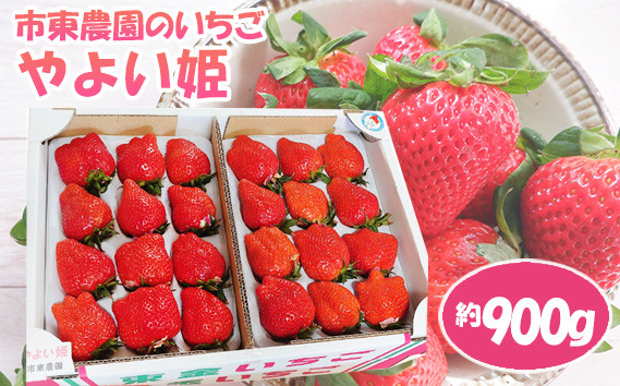 
No.075 【市東農園のいちご】やよい姫　約900g ／ フルーツ イチゴ 苺 千葉県

